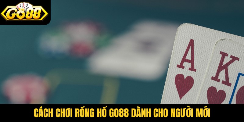 Cách chơi rồng hổ Go88 dành cho người mới